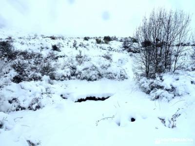 nieve, invierno, cañada; parque picos de europa cercania san sebastian singles con niños madrid